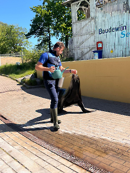 Boudewijn Seapark_178
