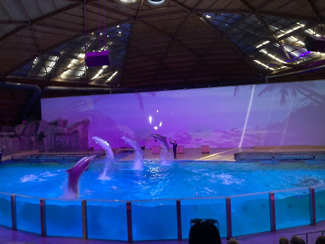 Boudewijn Seapark_25