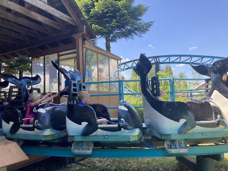 Boudewijn Seapark_41