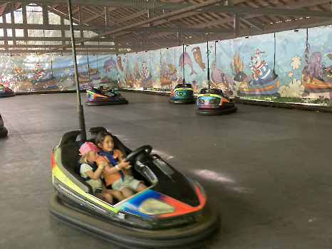 Boudewijn Seapark_62