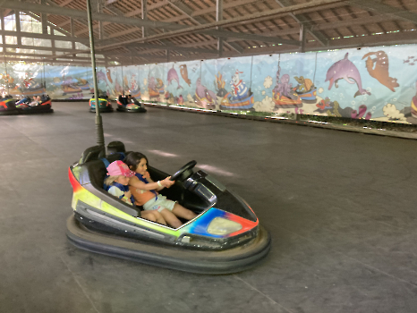 Boudewijn Seapark_64
