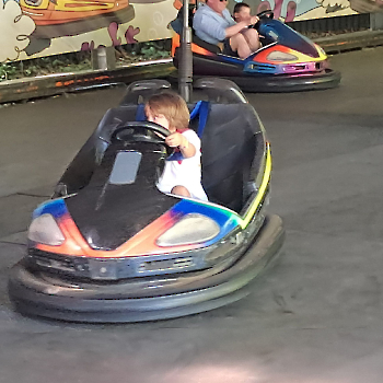 Boudewijn Seapark_71